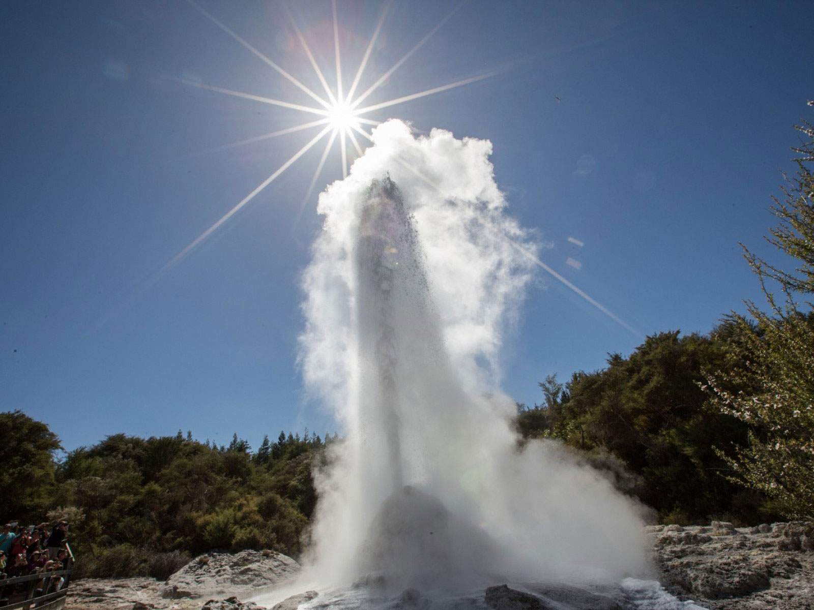Lady Knox Geyser, Wai-O-Tapu