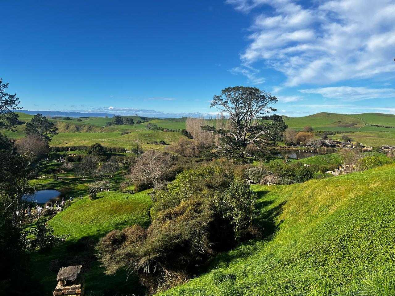 Hobbiton Movie Set — the Shire