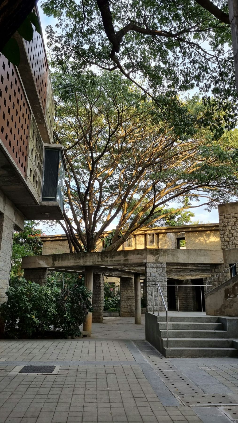 Stone and concrete campus building framed by large trees in India