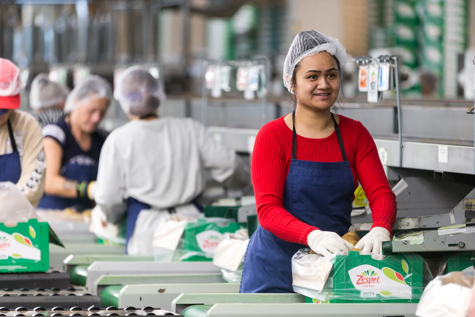 Packhouse worker in a red top preparing kiwifruit cartons