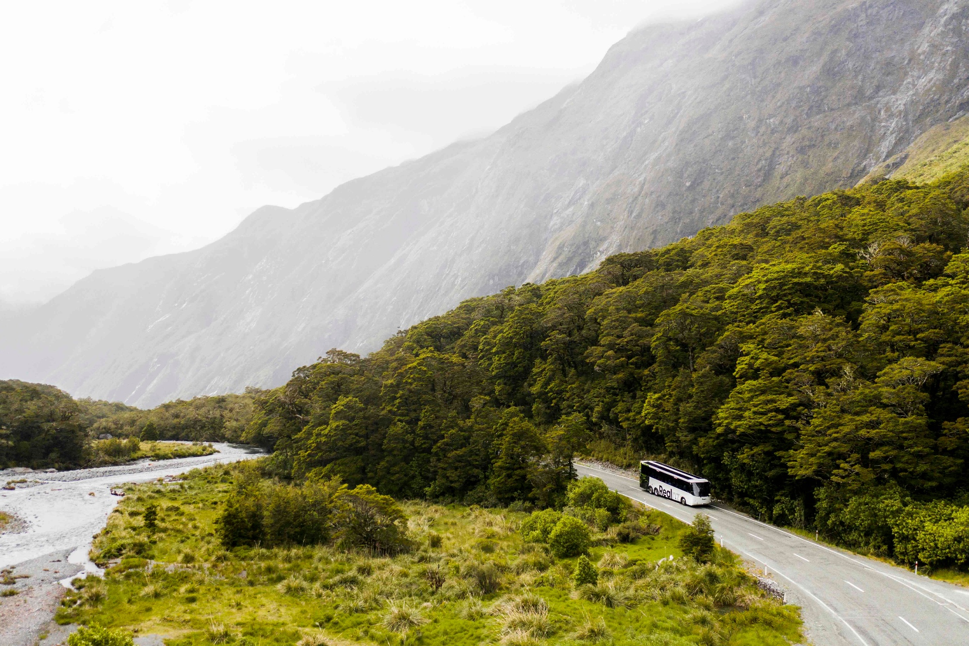 Milford Sound coach & cruise (Signature)