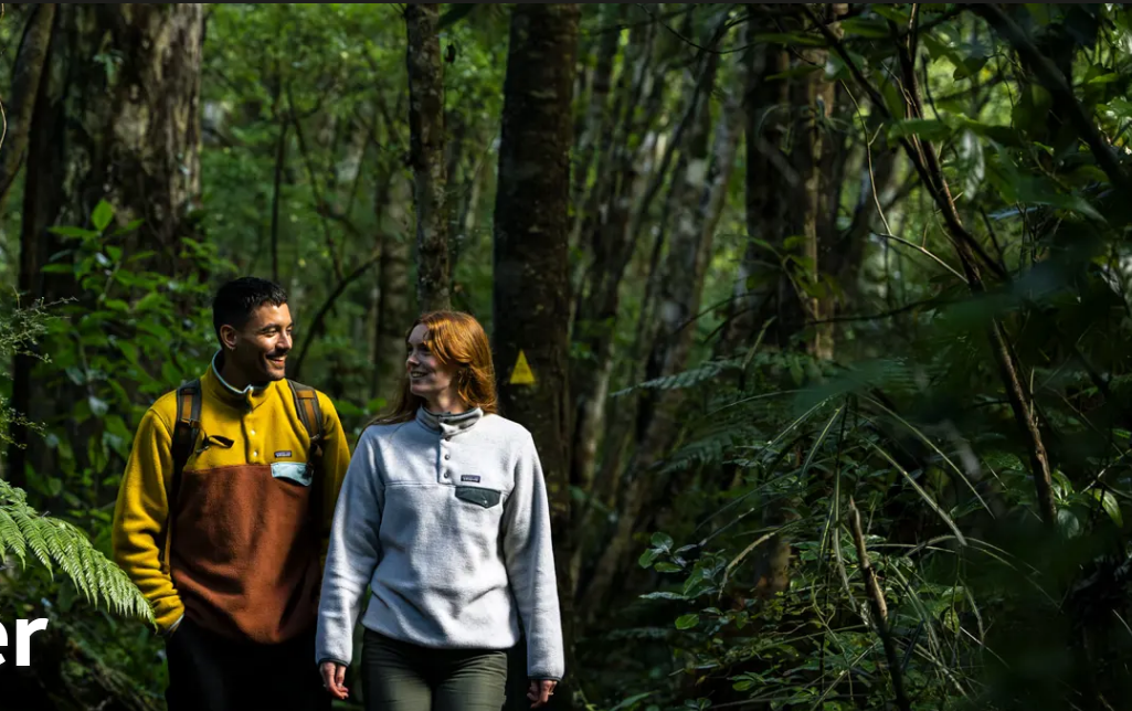 Stewart Island — Ulva Island native bush
